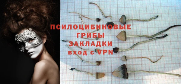 метадон Козловка