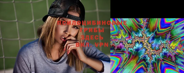амф Козельск