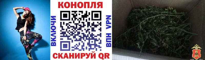 Шишки марихуана планчик  Купить  Гуково 
